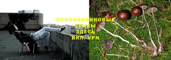 амфетамин Алексин