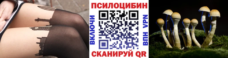 где можно купить наркотик  Апатиты  Галлюциногенные грибы MAGIC MUSHROOMS 