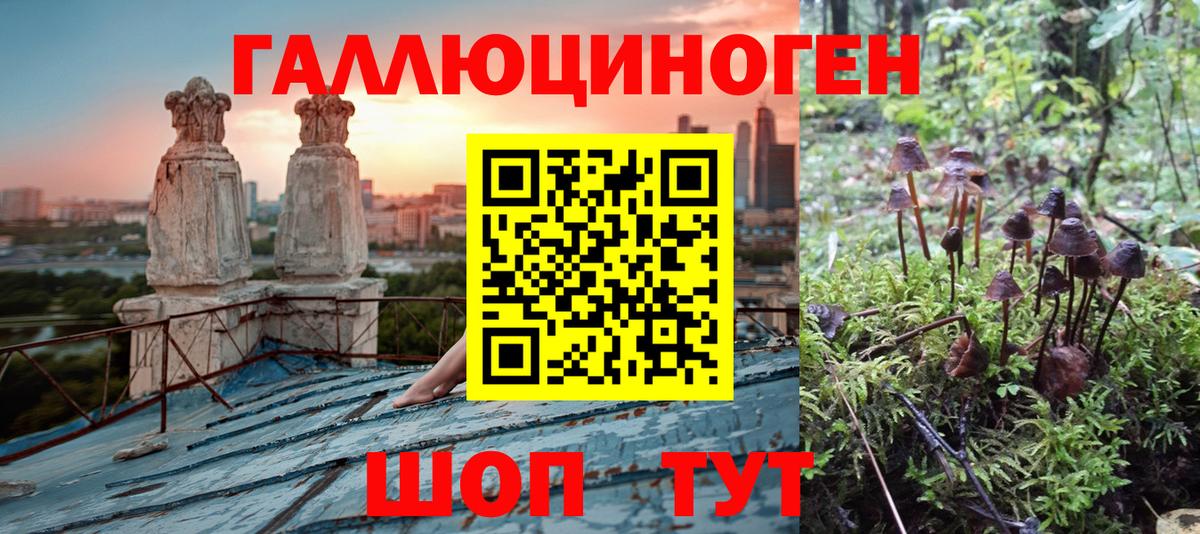 Галлюциногенные грибы GOLDEN TEACHER Апатиты