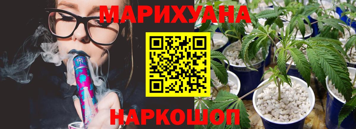 Канабис план Апатиты